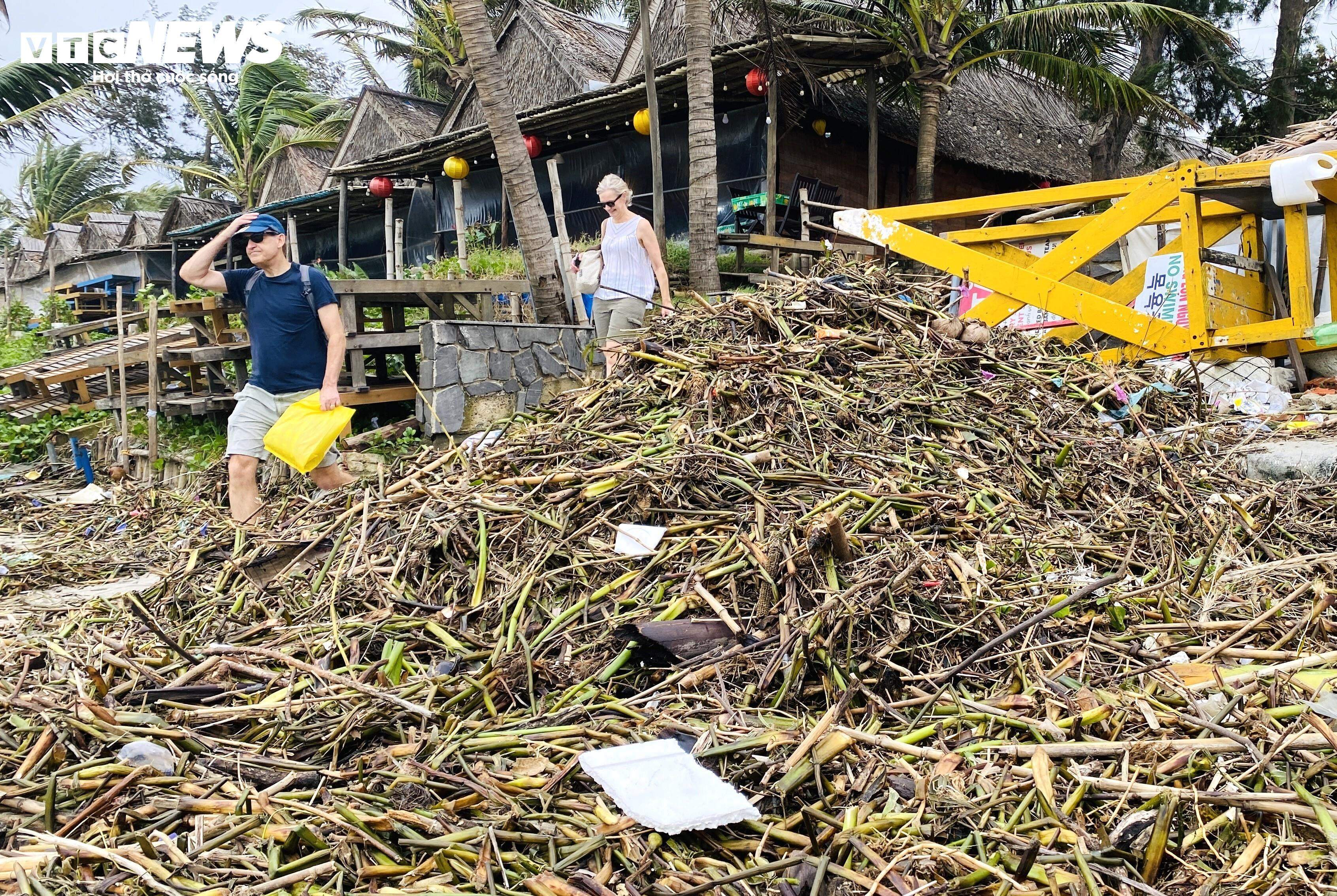Rác thải, lục bình tràn ngập bãi biển đẹp nhất châu Á ở Hội An - 10