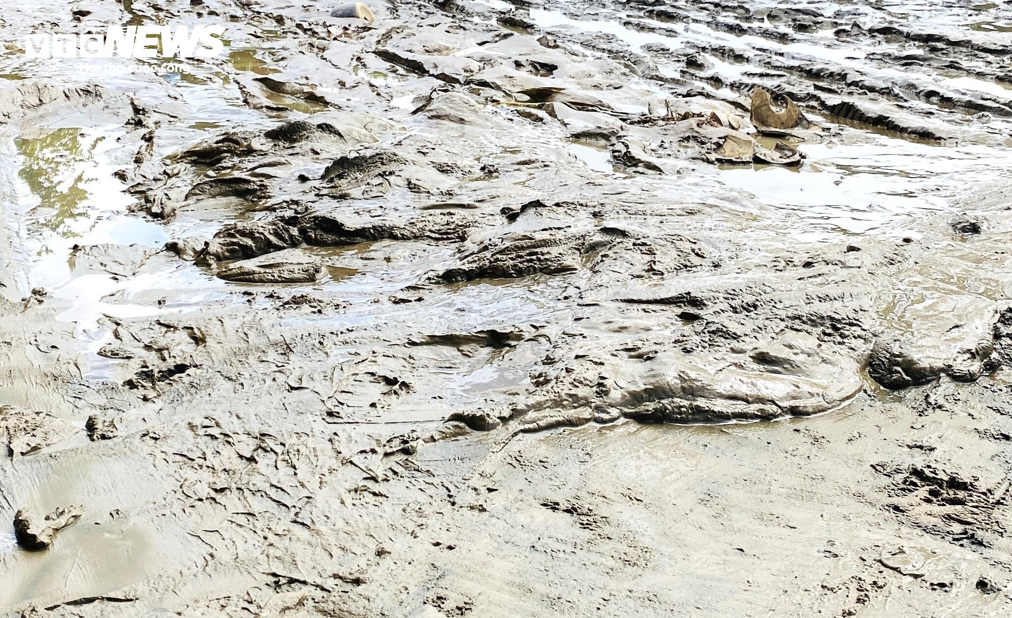 5 ngày đón 2 đợt lũ, dân phố cổ Hội An quay cuồng dọn bùn non - 4