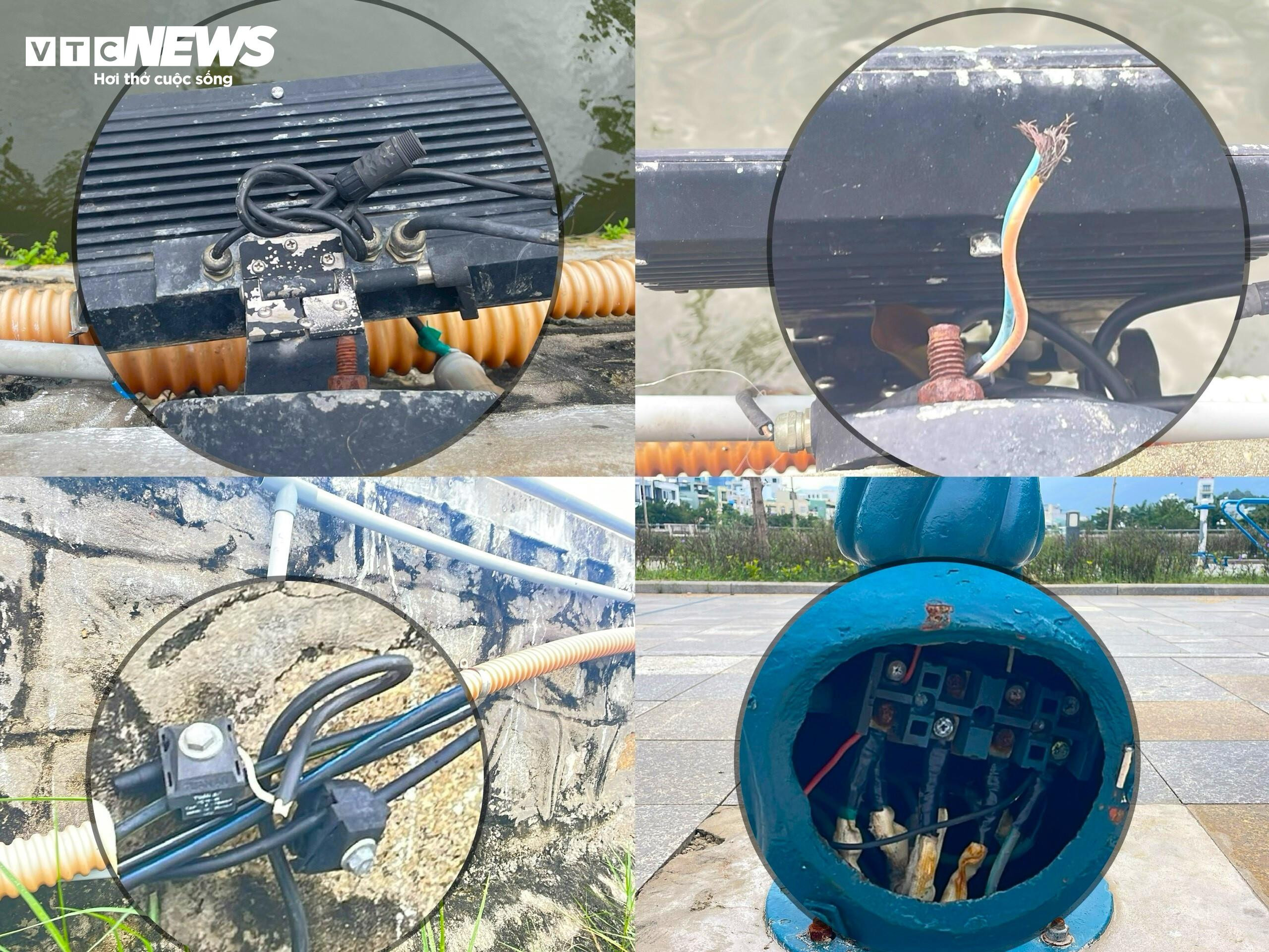 'Bẫy tử thần' trong khuôn viên hồ sinh thái Bàu Sen tại Bình Định - 7