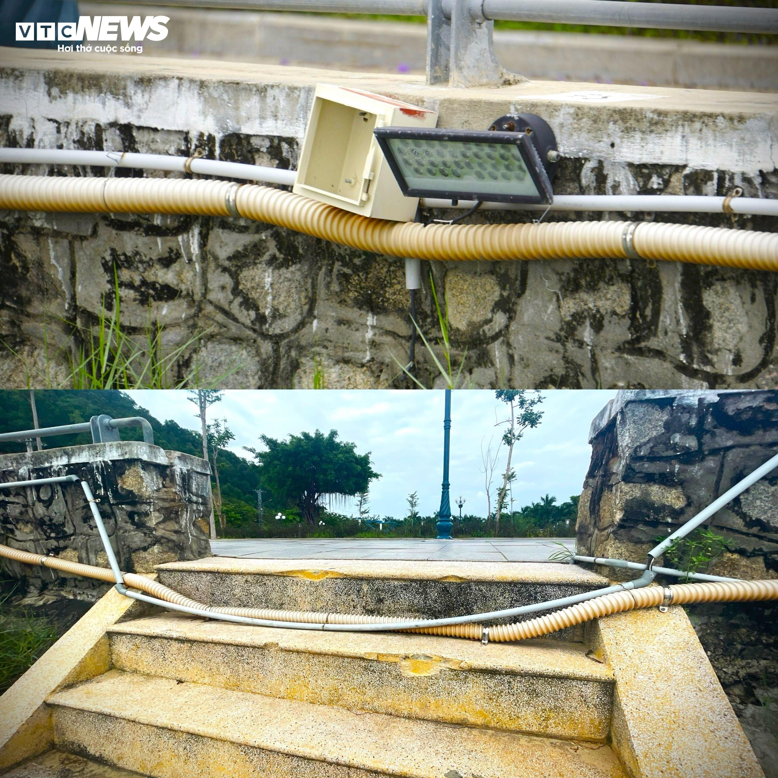 'Bẫy tử thần' trong khuôn viên hồ sinh thái Bàu Sen tại Bình Định - 8