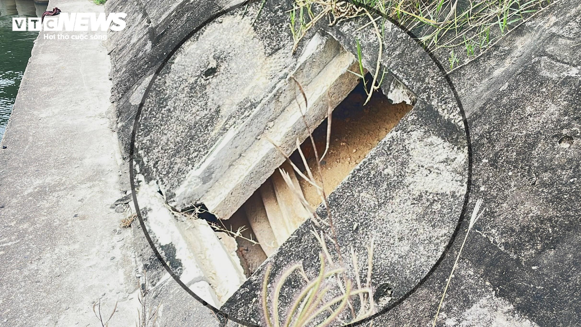 'Bẫy tử thần' trong khuôn viên hồ sinh thái Bàu Sen tại Bình Định - 13