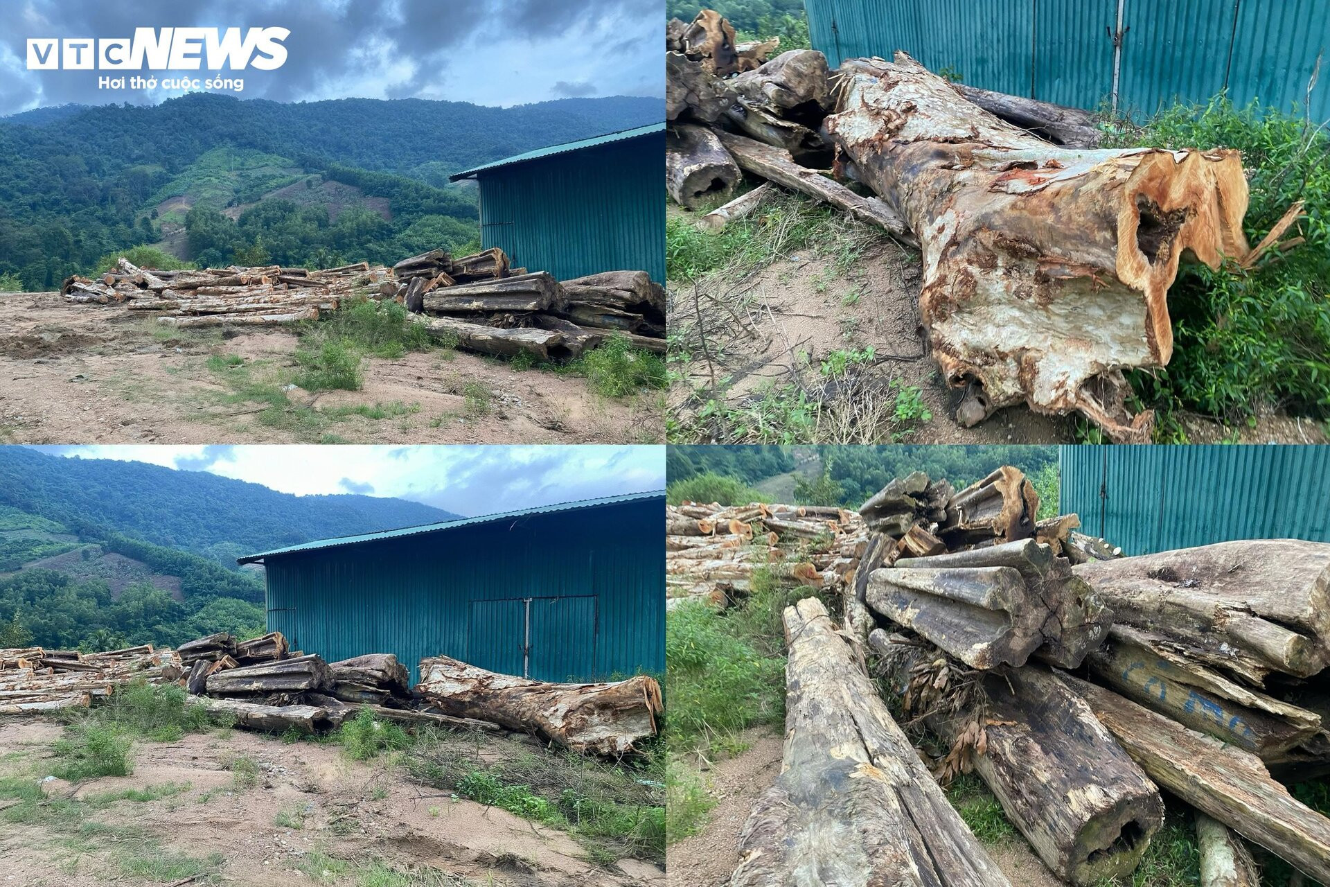 Hiện trạng dự án thủy điện 'thế chỗ' hơn 25 ha rừng tự nhiên ở Bình Định - 11