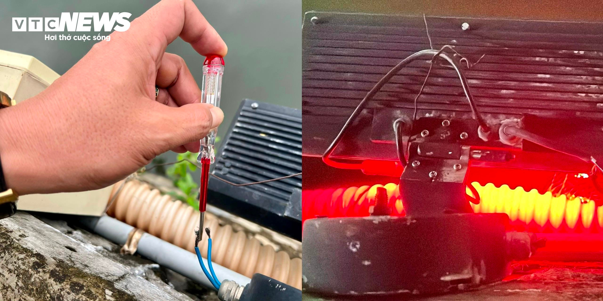 'Bẫy tử thần' trong khuôn viên hồ sinh thái Bàu Sen tại Bình Định - 12