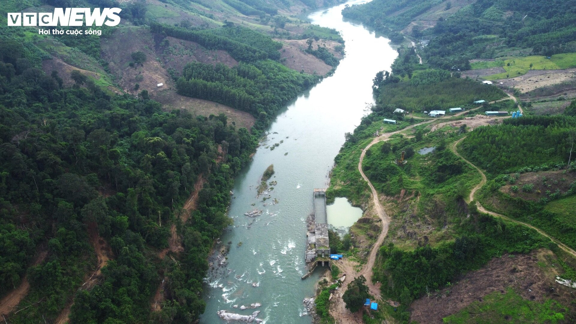 Hiện trạng dự án thủy điện 'thế chỗ' hơn 25 ha rừng tự nhiên ở Bình Định - 9