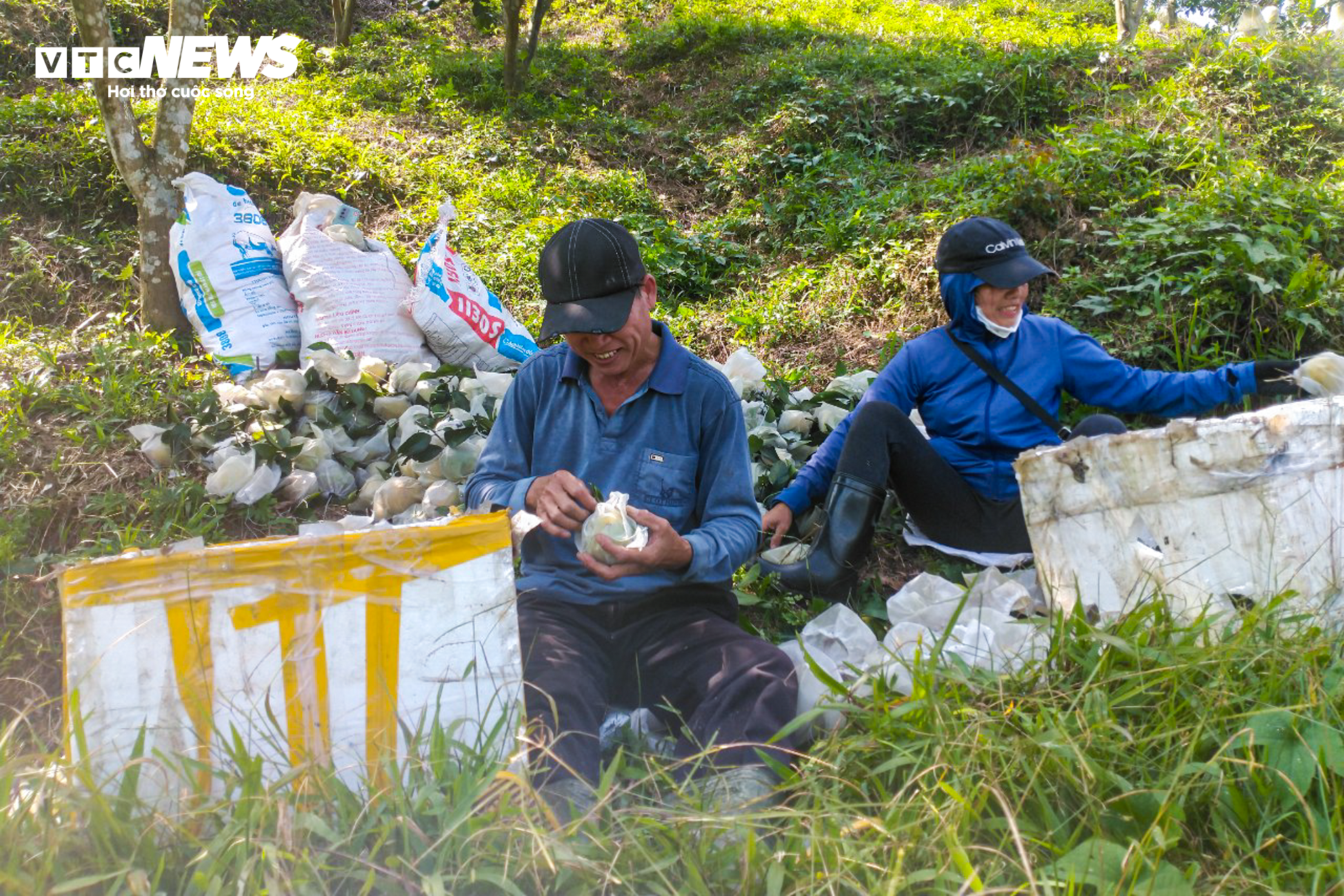 Thủ phủ cam Hà Tĩnh vào mùa, bán giá cao vẫn ‘cháy’ hàng - 9