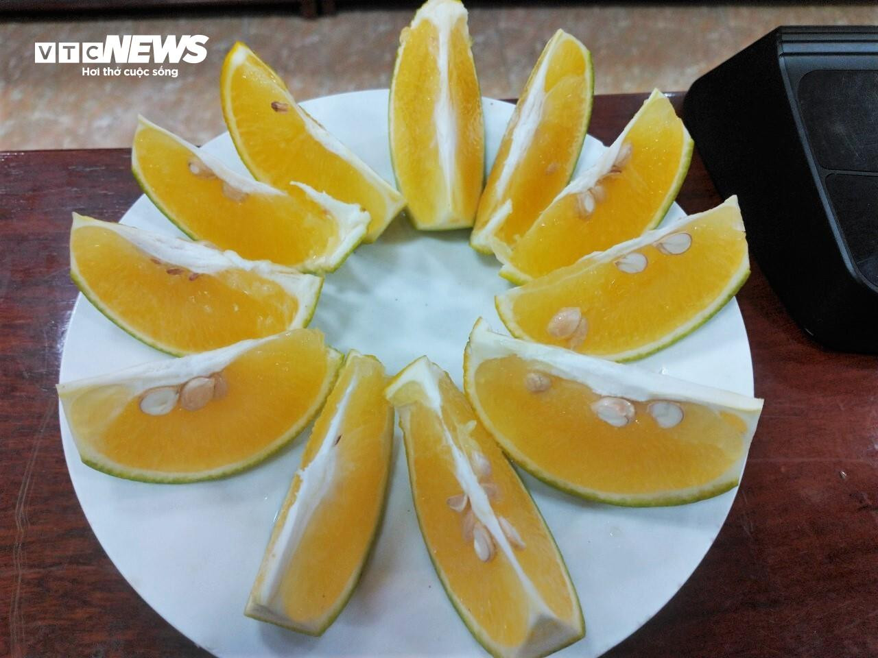 Thủ phủ cam Hà Tĩnh vào mùa, bán giá cao vẫn ‘cháy’ hàng - 15