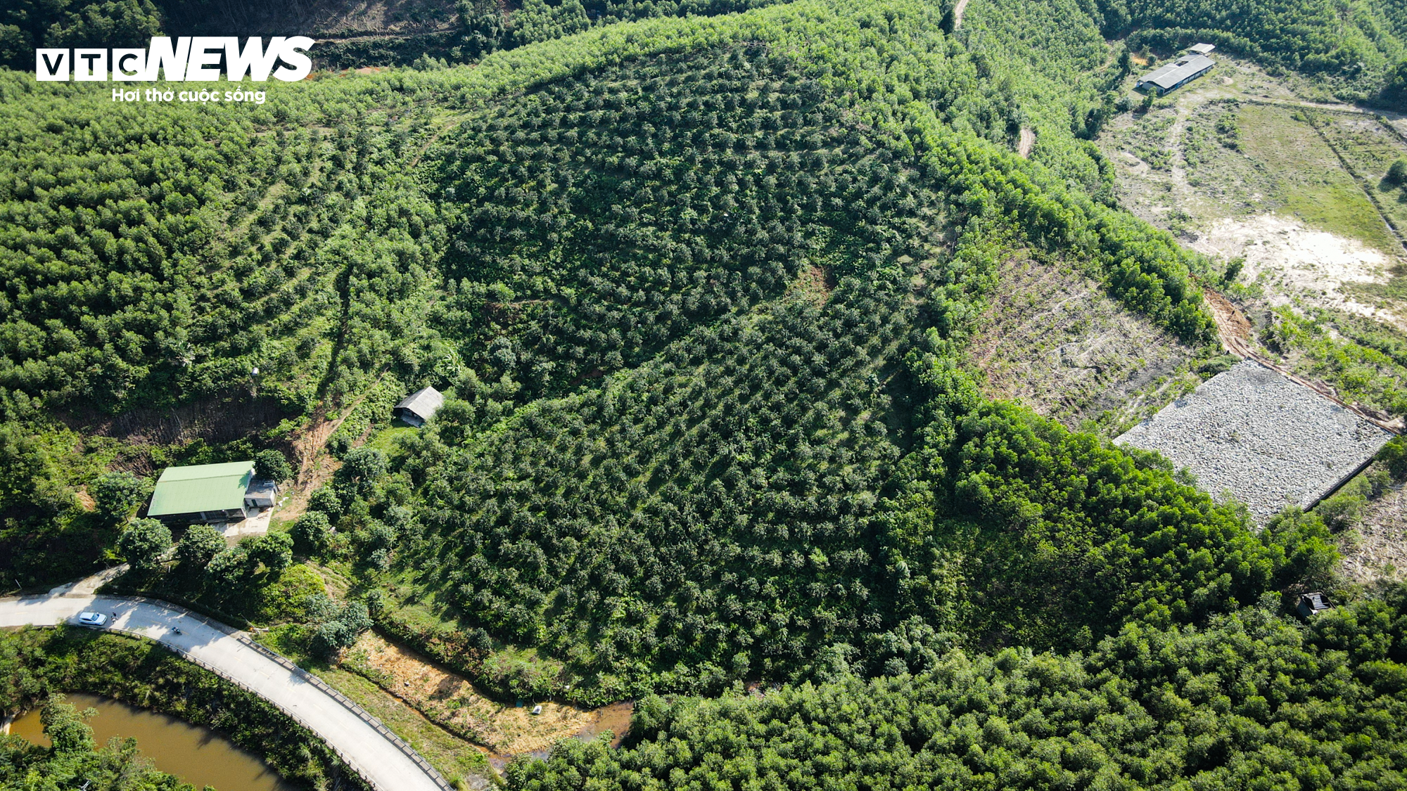 Thủ phủ cam Hà Tĩnh vào mùa, bán giá cao vẫn ‘cháy’ hàng - 1