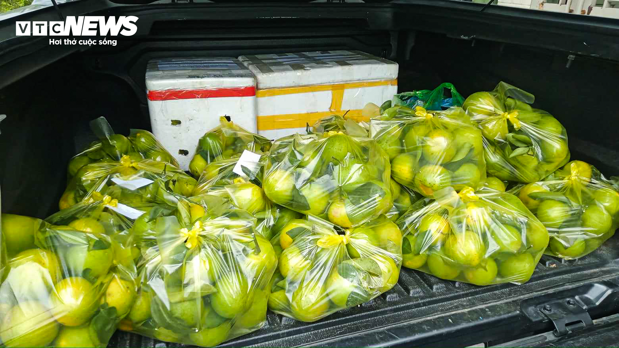 Thủ phủ cam Hà Tĩnh vào mùa, bán giá cao vẫn ‘cháy’ hàng - 12