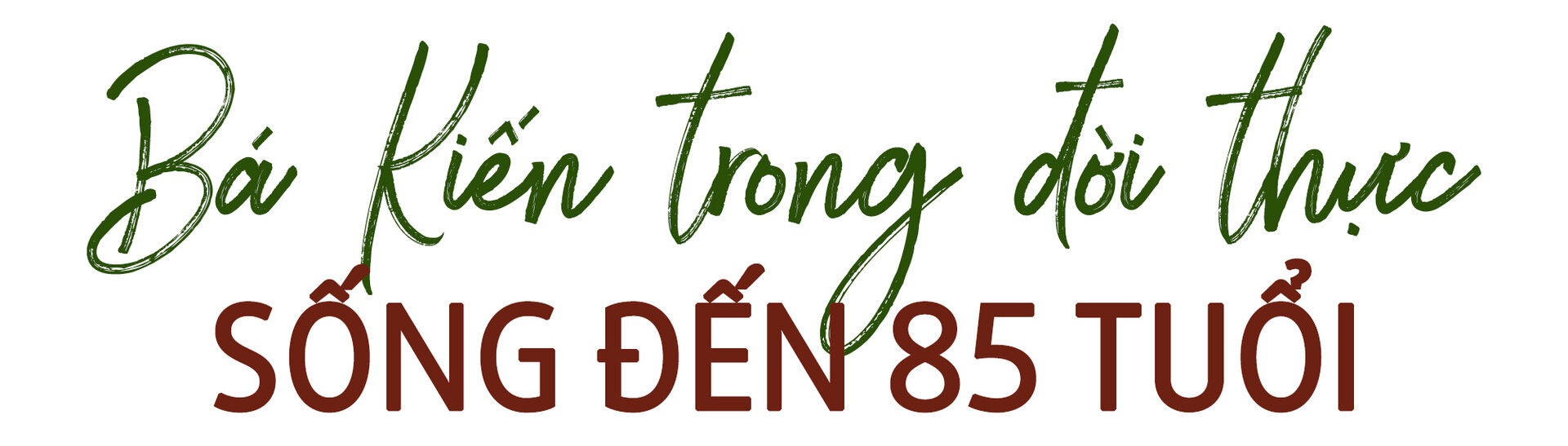 Bá Kiến trong đời thực qua lời kể của dân làng ‘Vũ Đại’ - 1