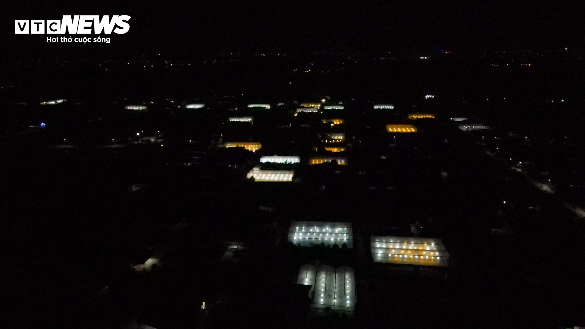 Nông dân Hà Tĩnh chong đèn, bắt cây hoa không 'ngủ’ để nở đúng dịp Tết - 12