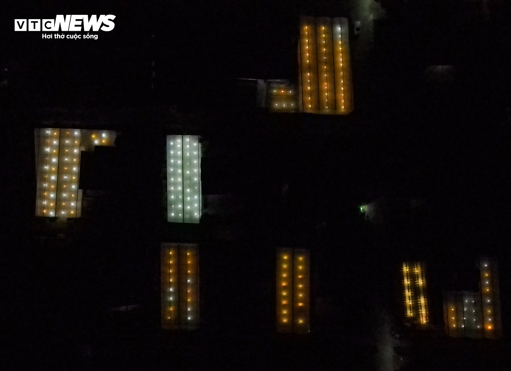 Nông dân Hà Tĩnh chong đèn, bắt cây hoa không 'ngủ’ để nở đúng dịp Tết - 13