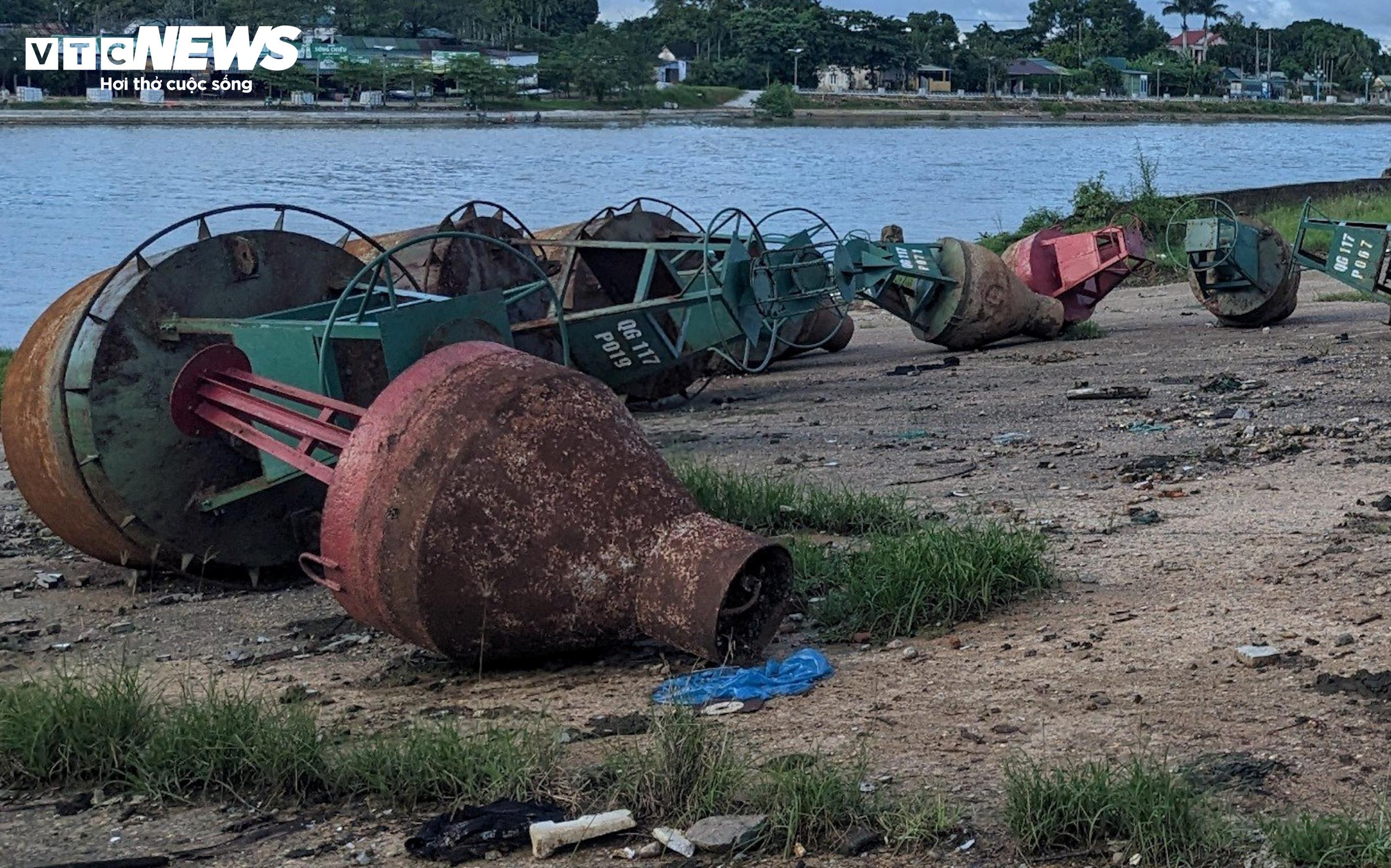 Cảng quân sự là di tích quốc gia bị bỏ hoang phế, dân biến thành nơi chăn bò - 1