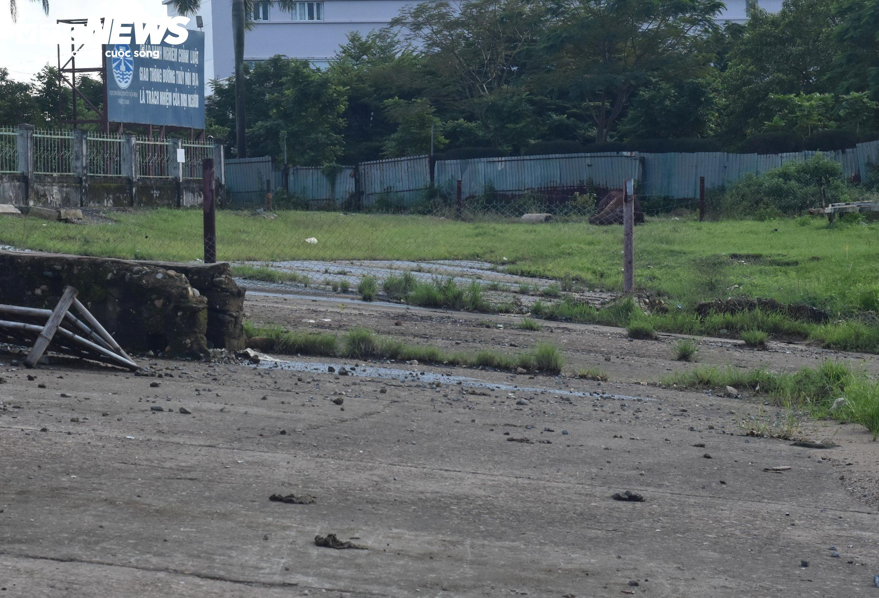 Cảng quân sự là di tích quốc gia bị bỏ hoang phế, dân biến thành nơi chăn bò - 3