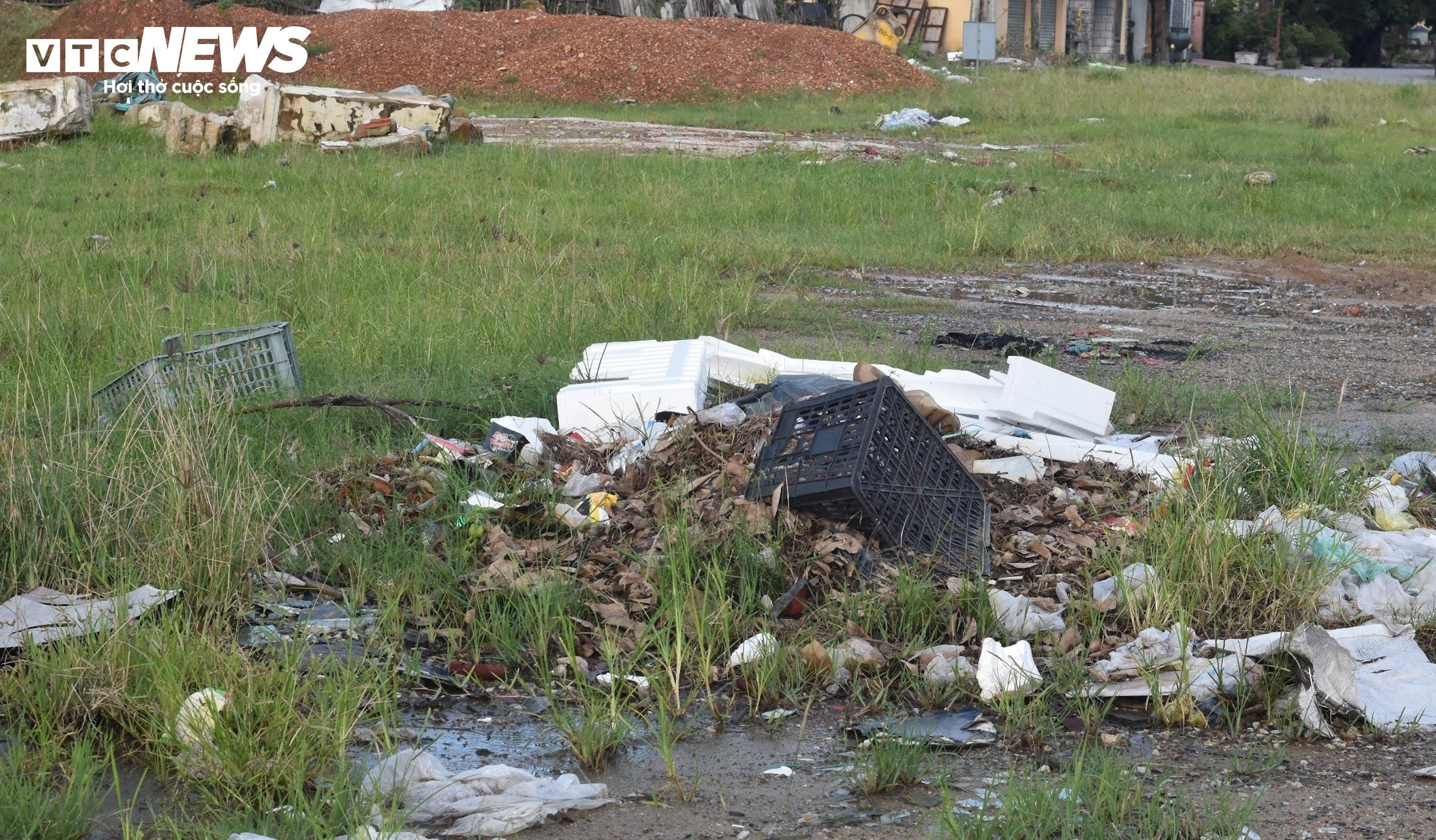 Cảng quân sự là di tích quốc gia bị bỏ hoang phế, dân biến thành nơi chăn bò - 4