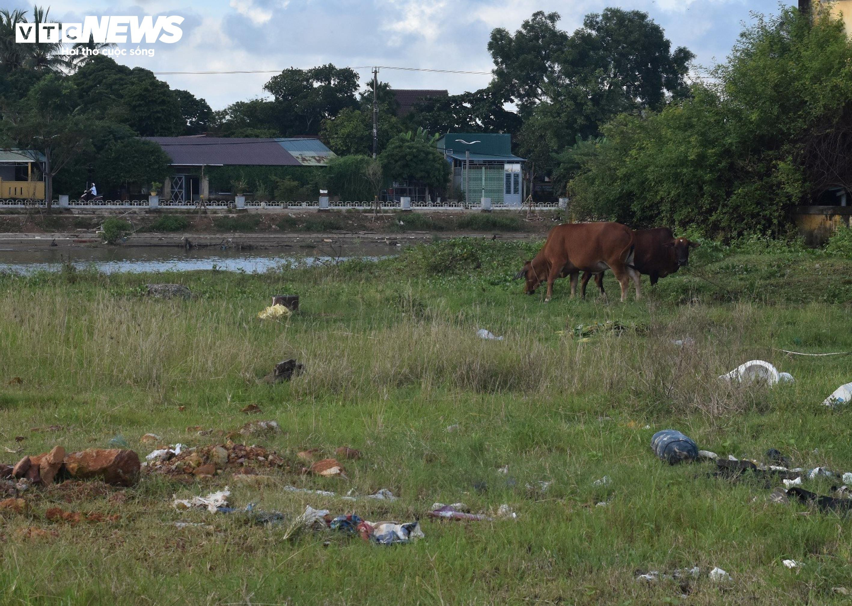 Cảng quân sự là di tích quốc gia bị bỏ hoang phế, dân biến thành nơi chăn bò - 6