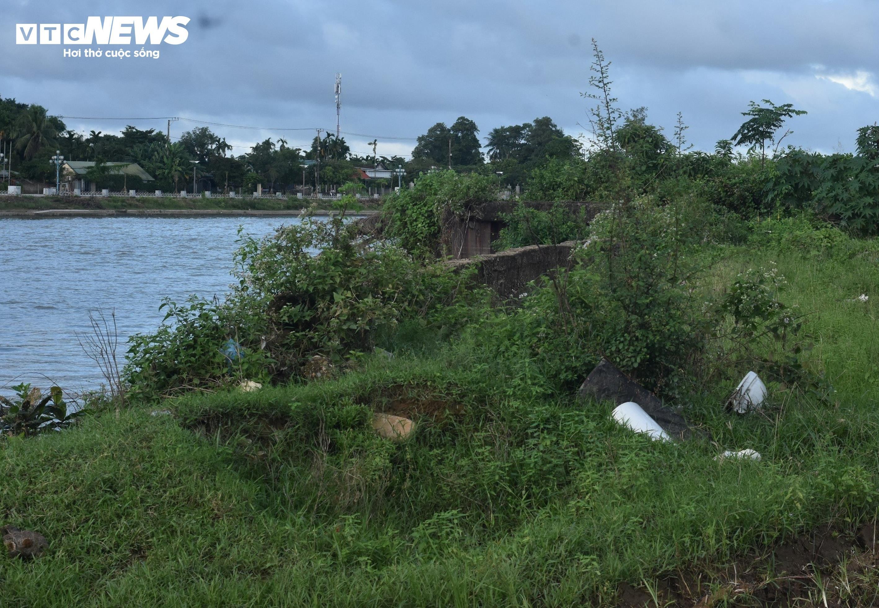 Cảng quân sự là di tích quốc gia bị bỏ hoang phế, dân biến thành nơi chăn bò - 7