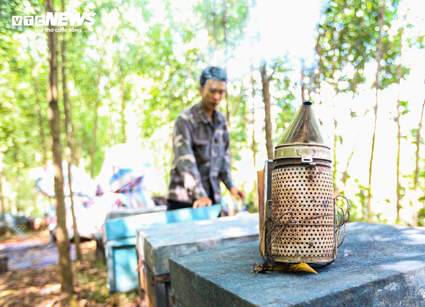 Nhọc nhằn nghề chăn ong ‘du mục’ - 11