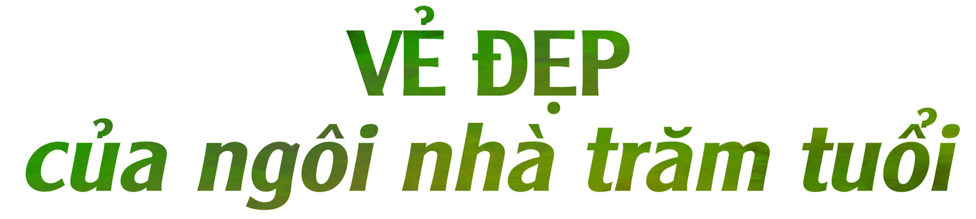 Số phận chìm nổi của ngôi nhà Bá Kiến và các đời chủ nhân - 5