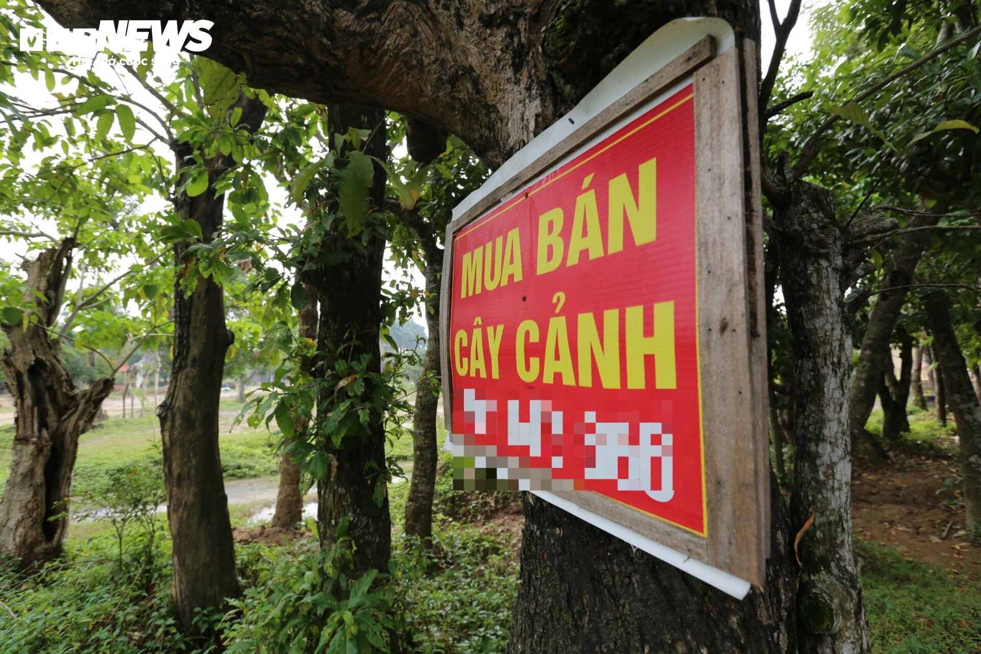 Khu du lịch ‘ma’ bị bỏ hoang suốt 8 năm ở Hà Tĩnh - 19