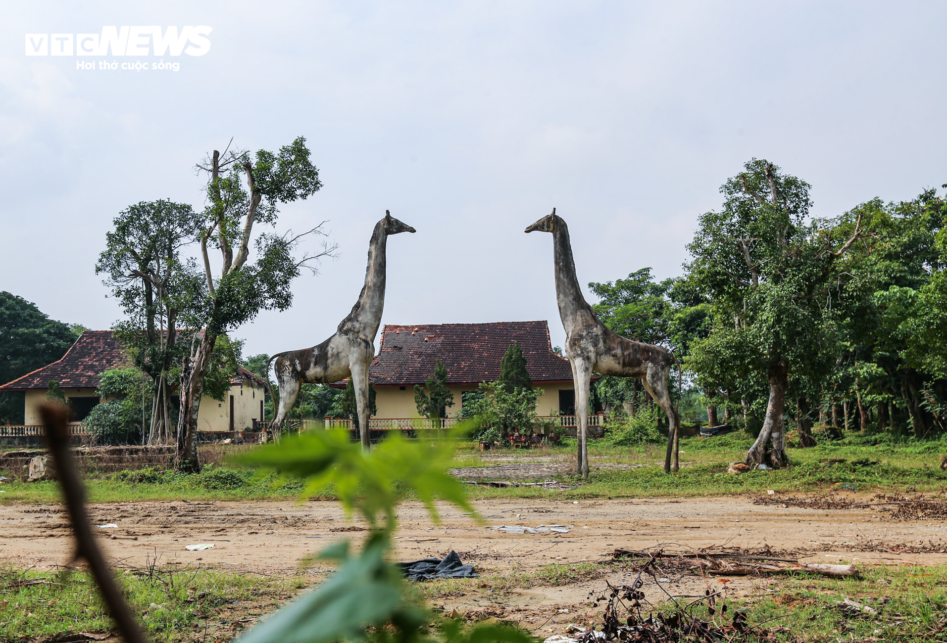 Khu du lịch ‘ma’ bị bỏ hoang suốt 8 năm ở Hà Tĩnh - 8