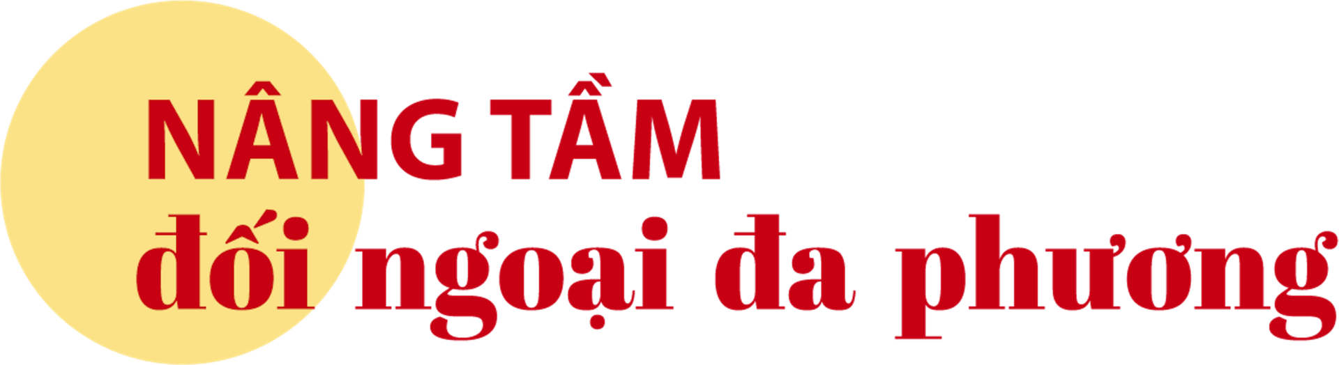 Đối ngoại nghị viện thành công, ngoại giao vaccine hiệu quả - 1