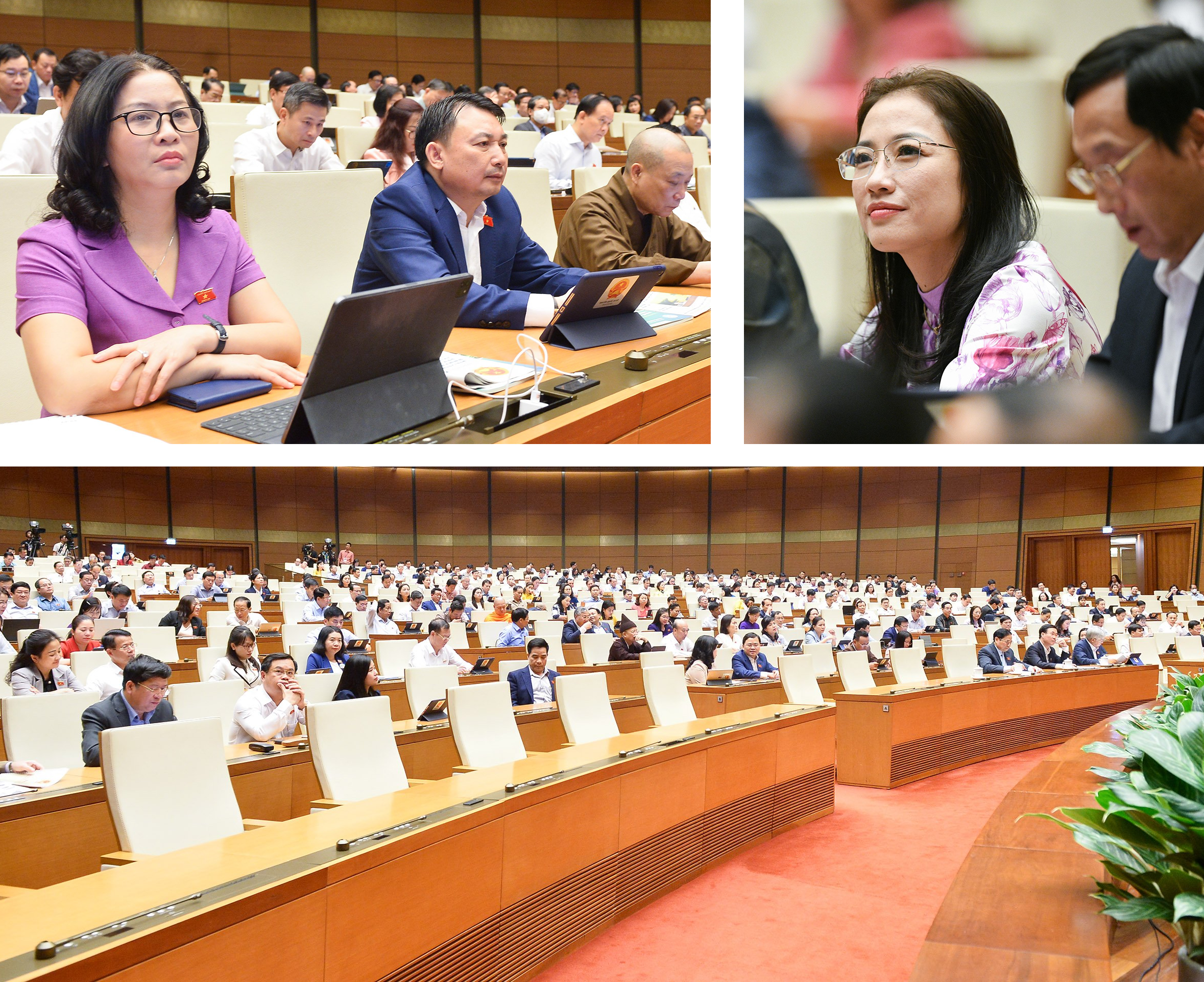 Quốc hội giơ tay, Quốc hội tranh biện, Quốc hội đồng hành - 6