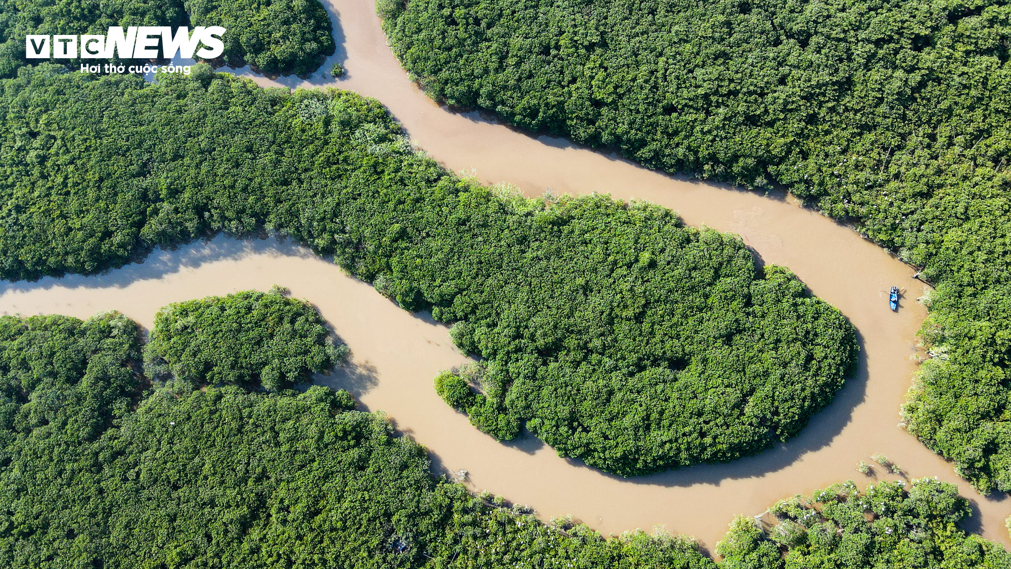 Cảnh sát lật tung đầm lầy rộng 8ha truy bắt tội phạm vượt ngục - 11