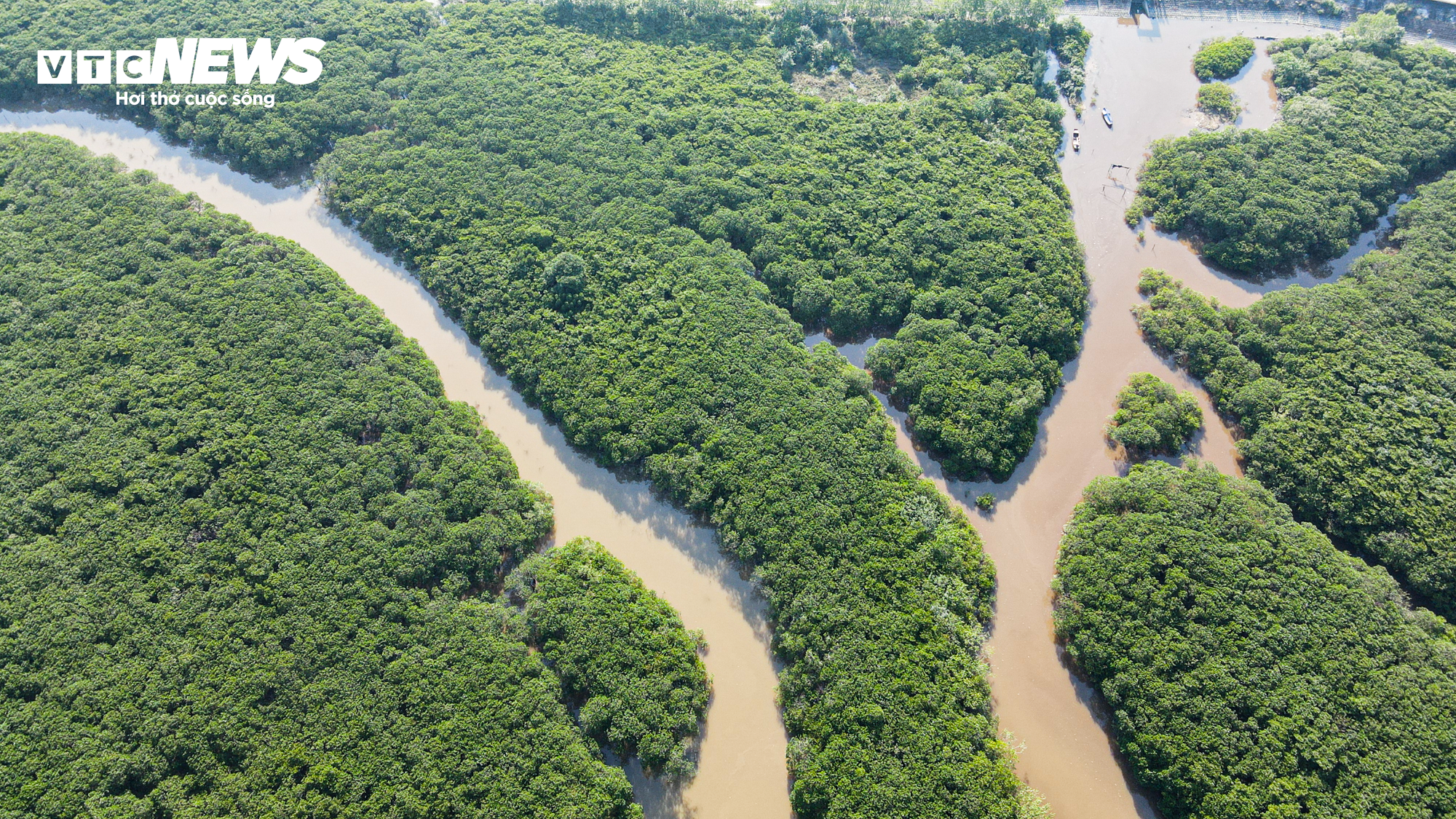 Cảnh sát lật tung đầm lầy rộng 8ha truy bắt tội phạm vượt ngục - 5