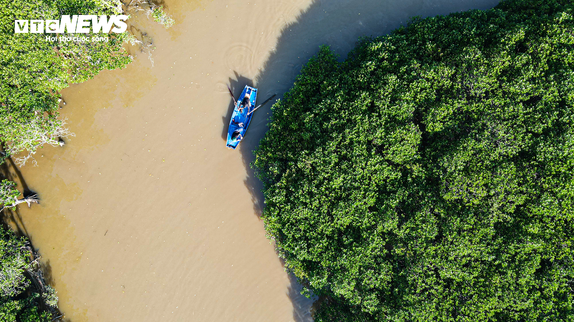 Cảnh sát lật tung đầm lầy rộng 8ha truy bắt tội phạm vượt ngục - 8