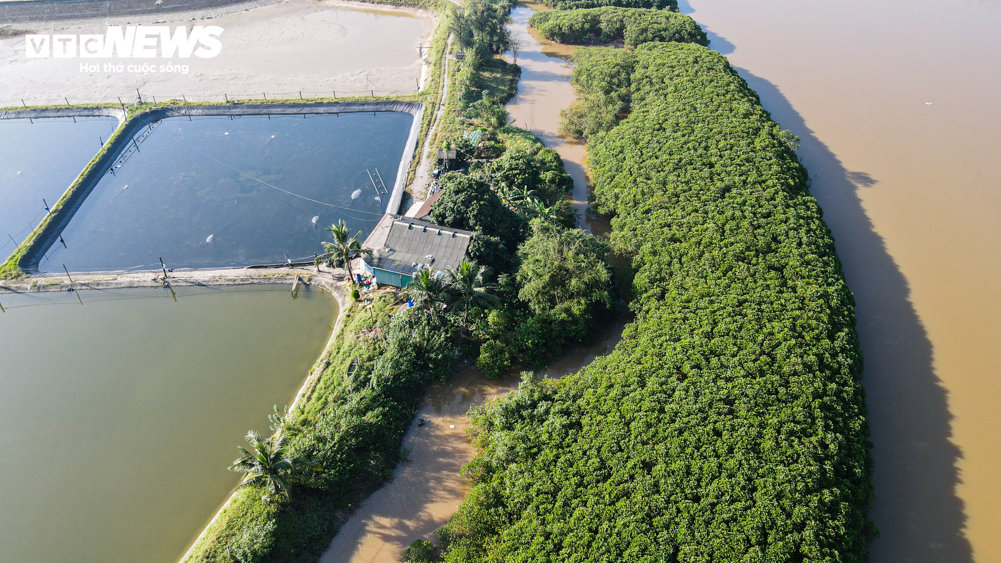 Cảnh sát lật tung đầm lầy rộng 8ha truy bắt tội phạm vượt ngục - 12