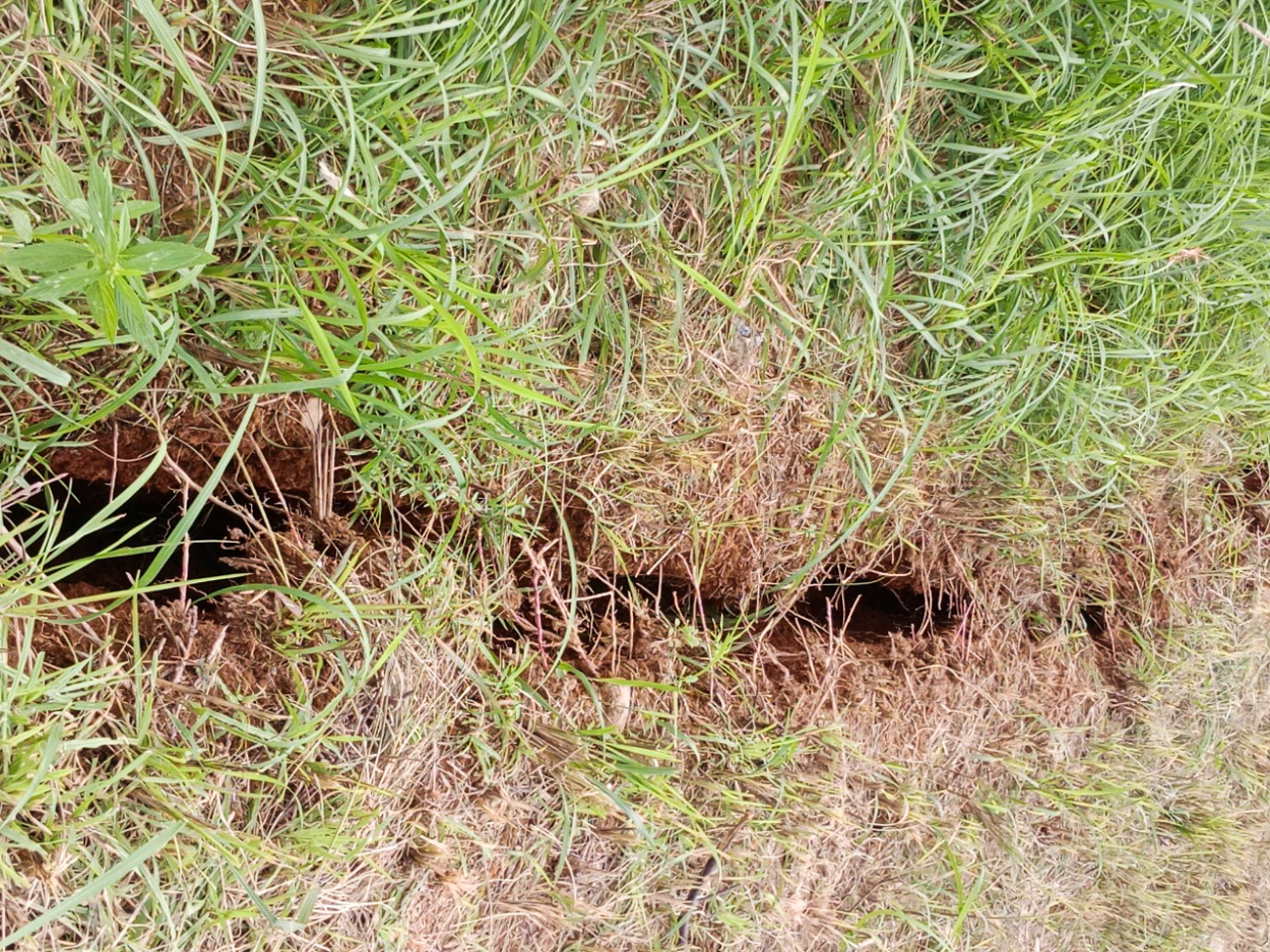 Cận cảnh vết nứt dài gần 50m, sâu 2,5m tại trạm khí tượng ở Quảng Nam - 3