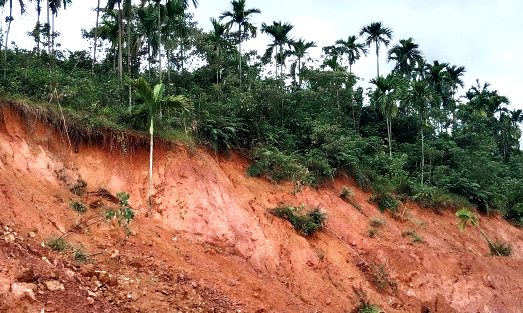 Cận cảnh vết nứt dài gần 50m, sâu 2,5m tại trạm khí tượng ở Quảng Nam - 6