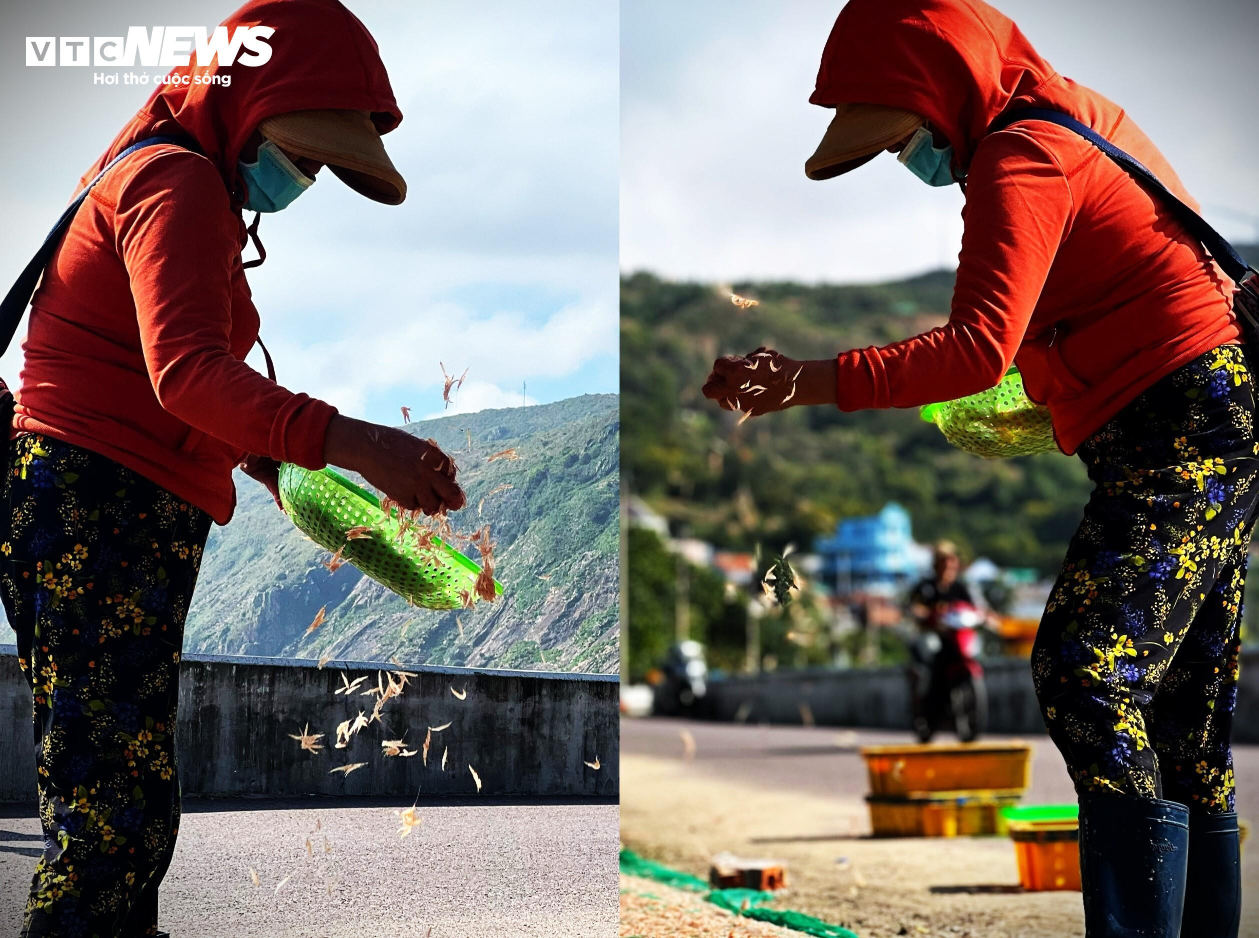 ‘Lộc biển’ về sớm, ngư dân Bình Định kiếm tiền triệu chỉ vài giờ - 9