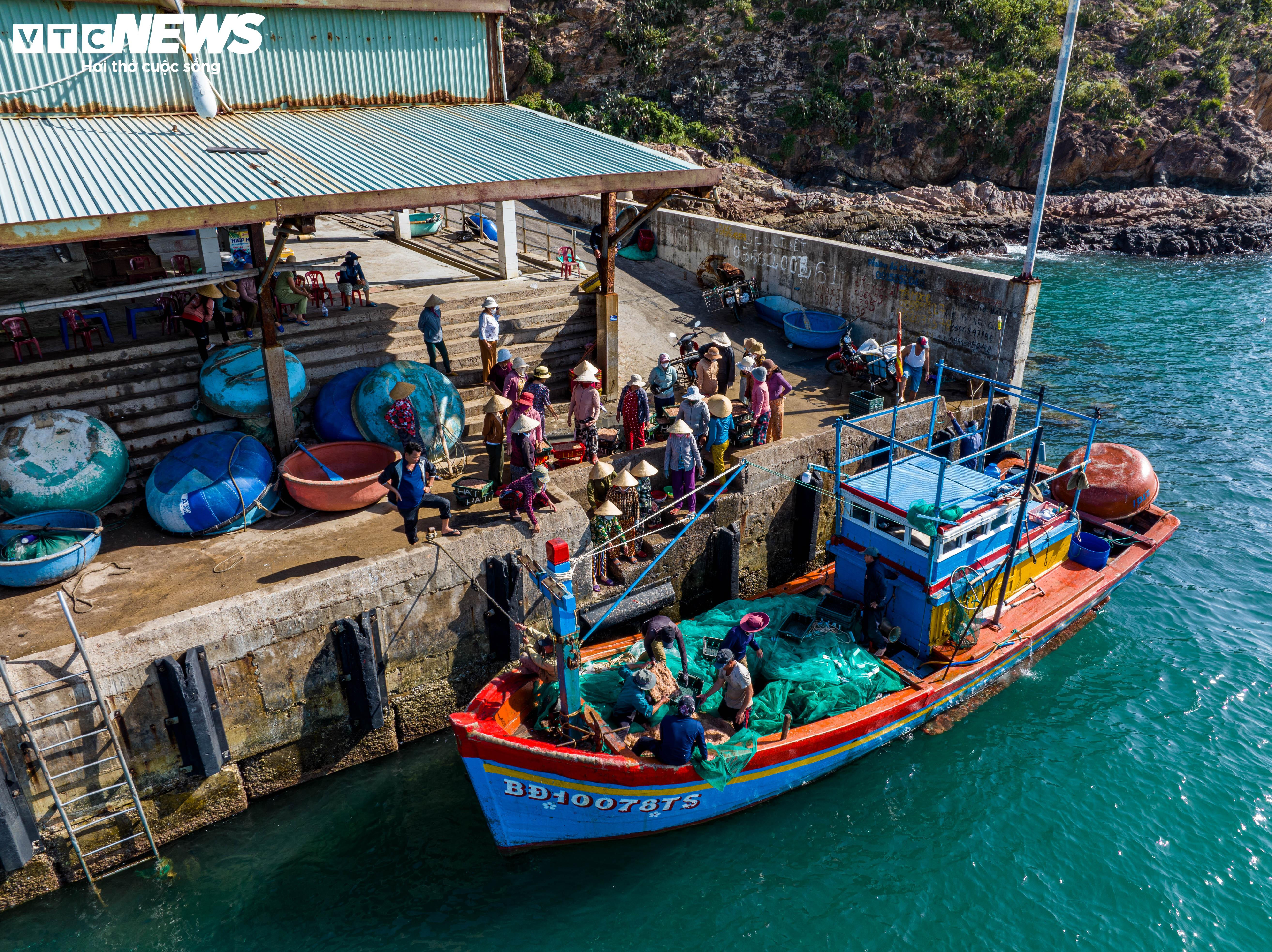 ‘Lộc biển’ về sớm, ngư dân Bình Định kiếm tiền triệu chỉ vài giờ - 2