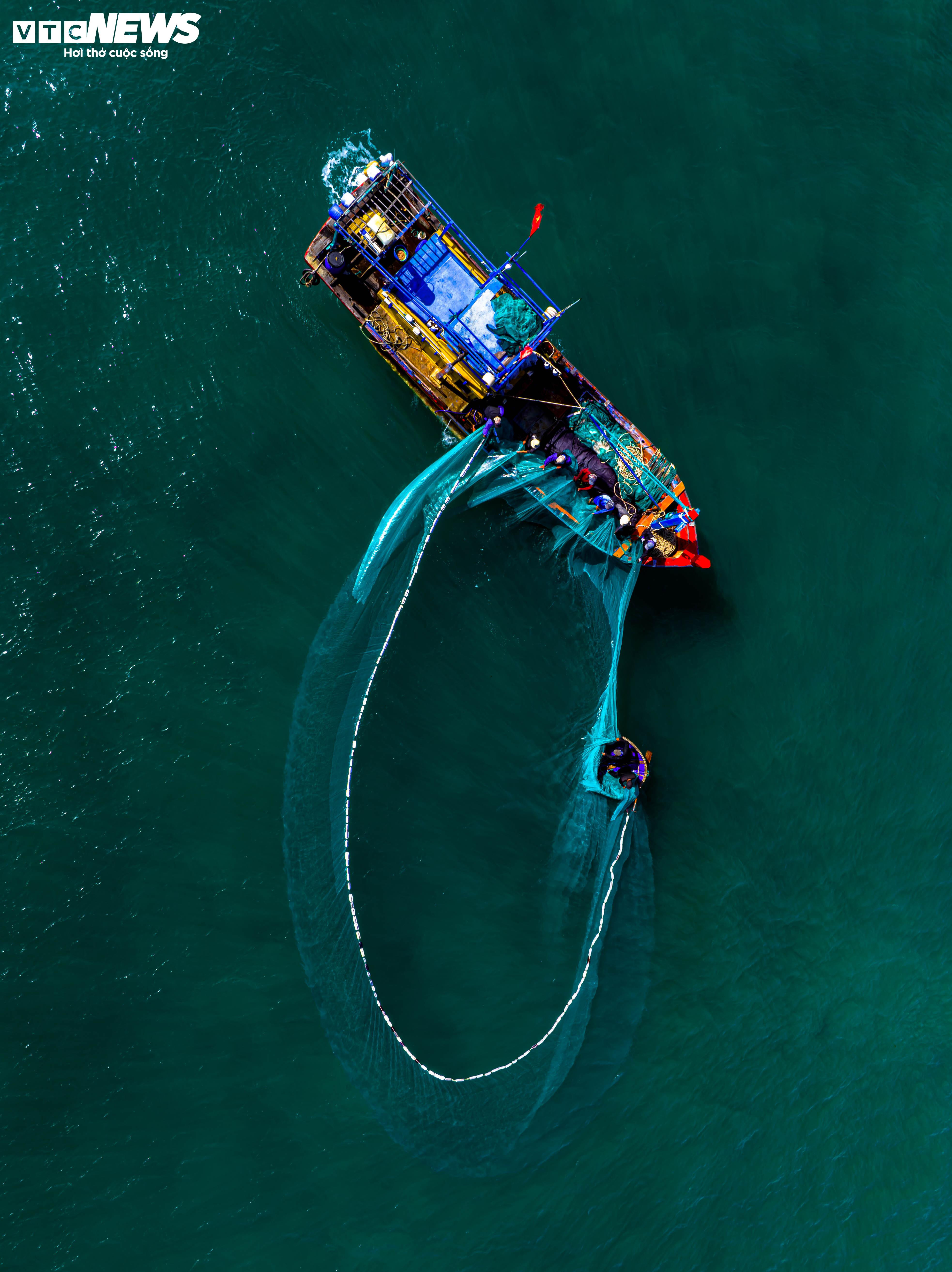 ‘Lộc biển’ về sớm, ngư dân Bình Định kiếm tiền triệu chỉ vài giờ - 4