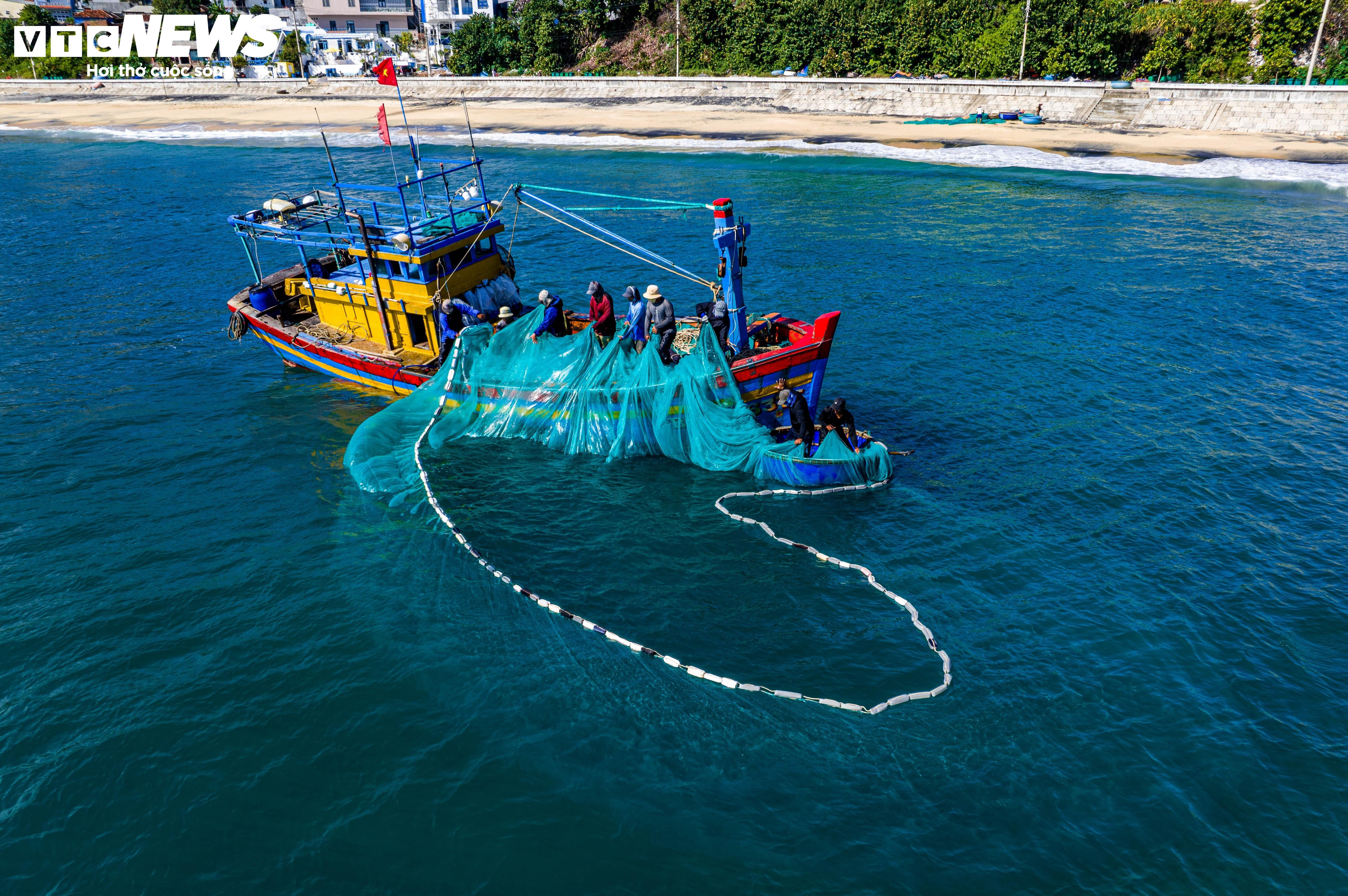 ‘Lộc biển’ về sớm, ngư dân Bình Định kiếm tiền triệu chỉ vài giờ - 1