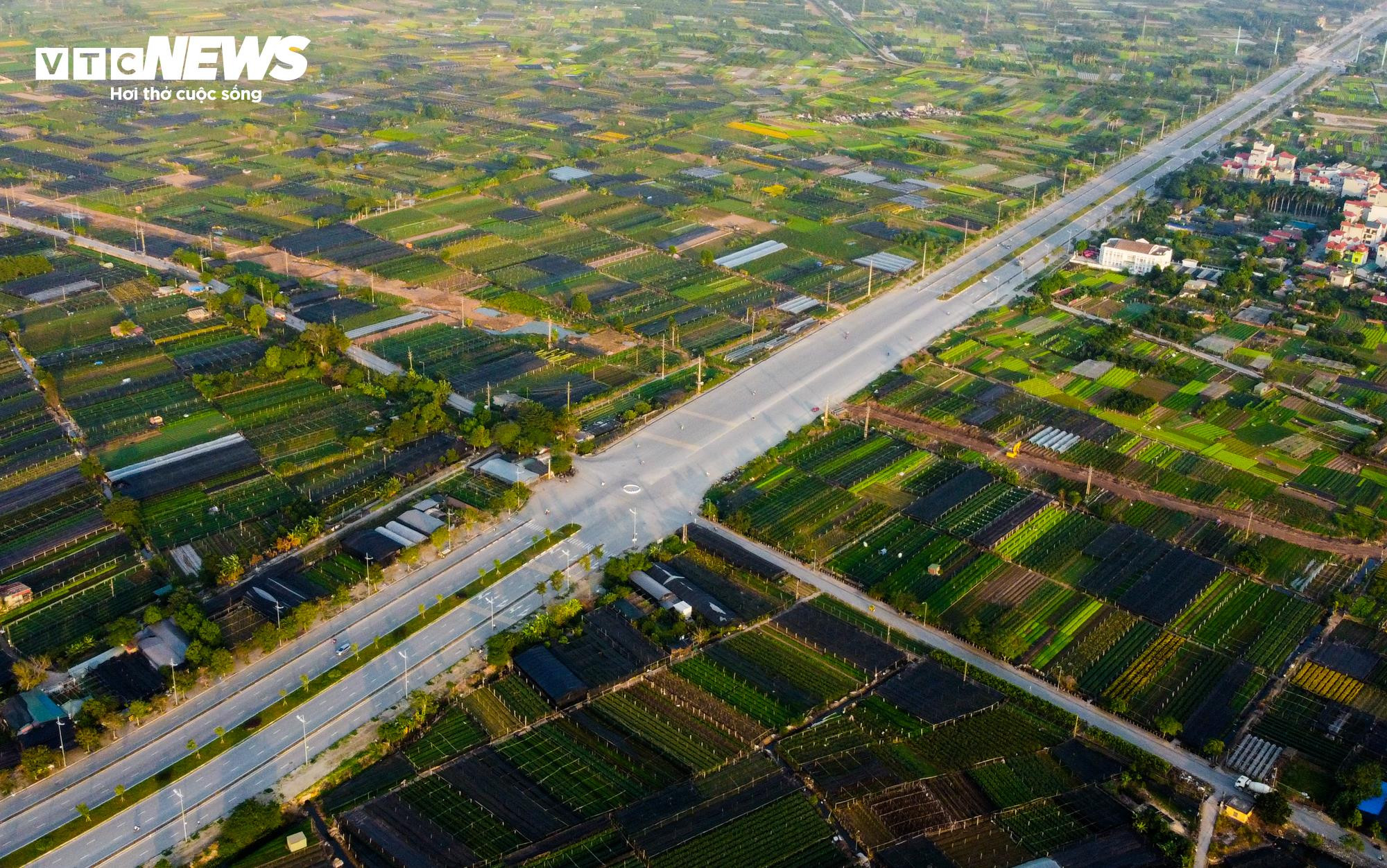 Cả năm thất bát, người trồng hoa Tây Tựu 'nín thở' chờ vụ Tết - 1