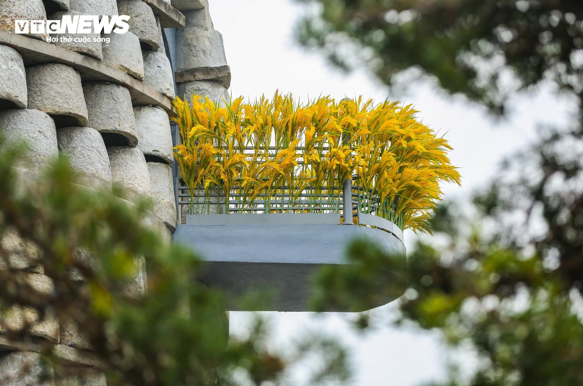 Chiêm ngưỡng 1.012 cối đá cũ xếp hình bông lúa được xác lập kỷ lục châu Á - 4