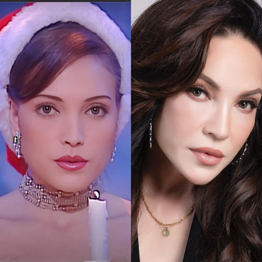 Sao Việt 20/12: Mỹ Tâm trẻ đẹp bên Vũ Ngọc Đãng, Thu Minh diện bikini gợi cảm - 5