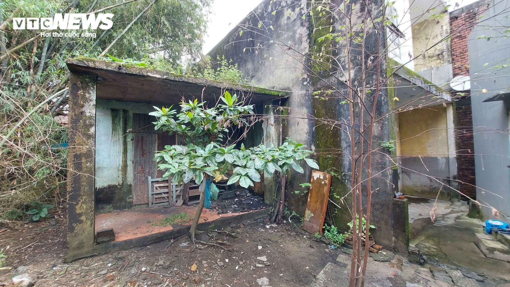 15 năm dân 'treo' cùng dự án: 'Chưa biết ngày nào hết khổ' - 12