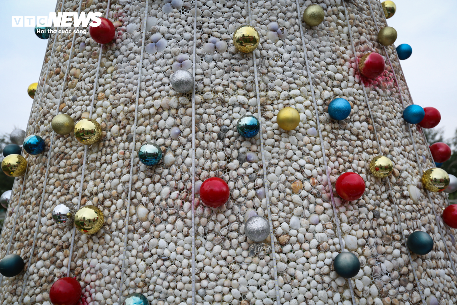 Chiêm ngưỡng cây thông Noel làm từ 100.000 vỏ sò ở Hà Tĩnh - 2