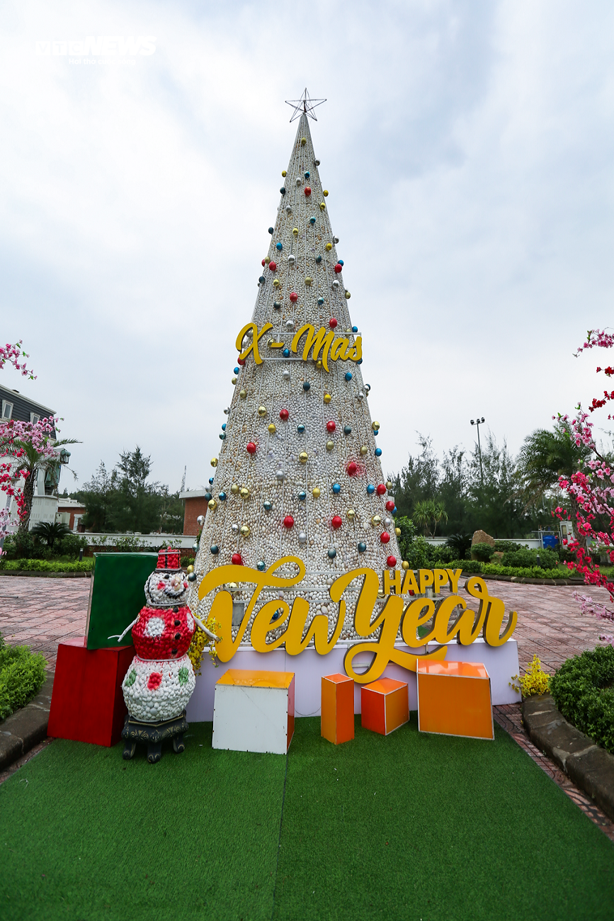 Chiêm ngưỡng cây thông Noel làm từ 100.000 vỏ sò ở Hà Tĩnh - 12