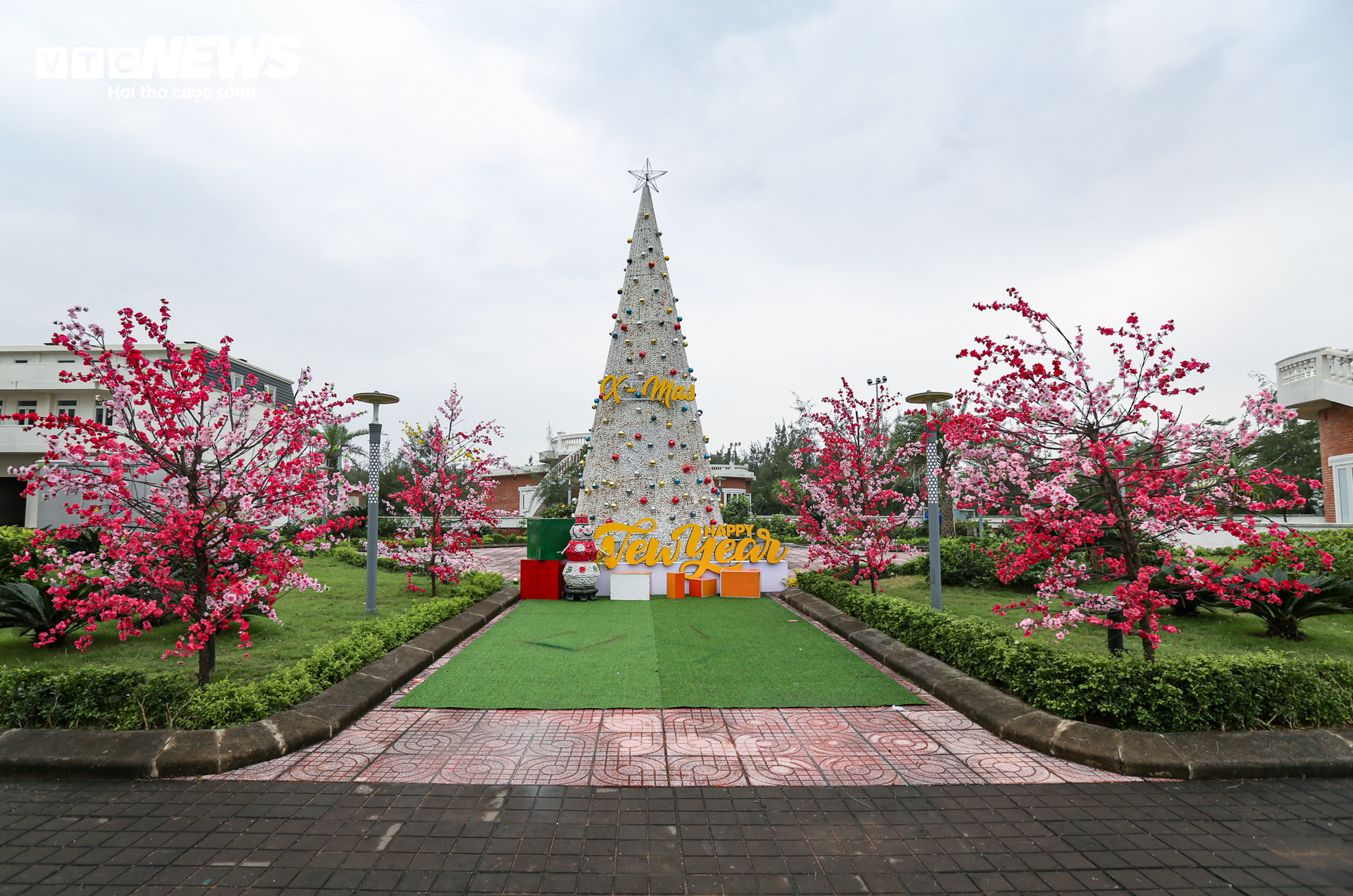Chiêm ngưỡng cây thông Noel làm từ 100.000 vỏ sò ở Hà Tĩnh - 8