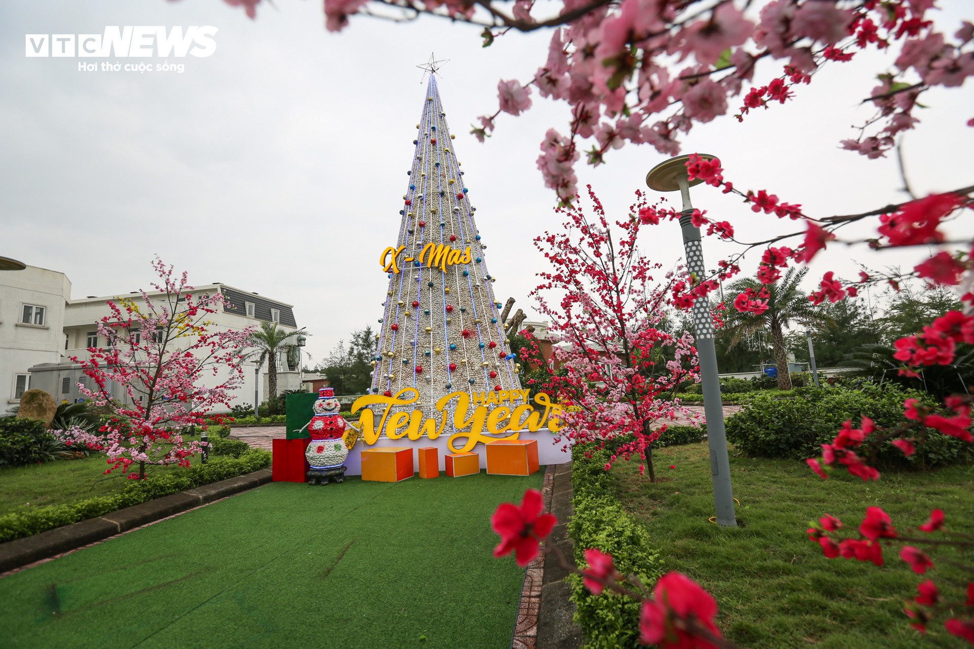 Chiêm ngưỡng cây thông Noel làm từ 100.000 vỏ sò ở Hà Tĩnh - 7