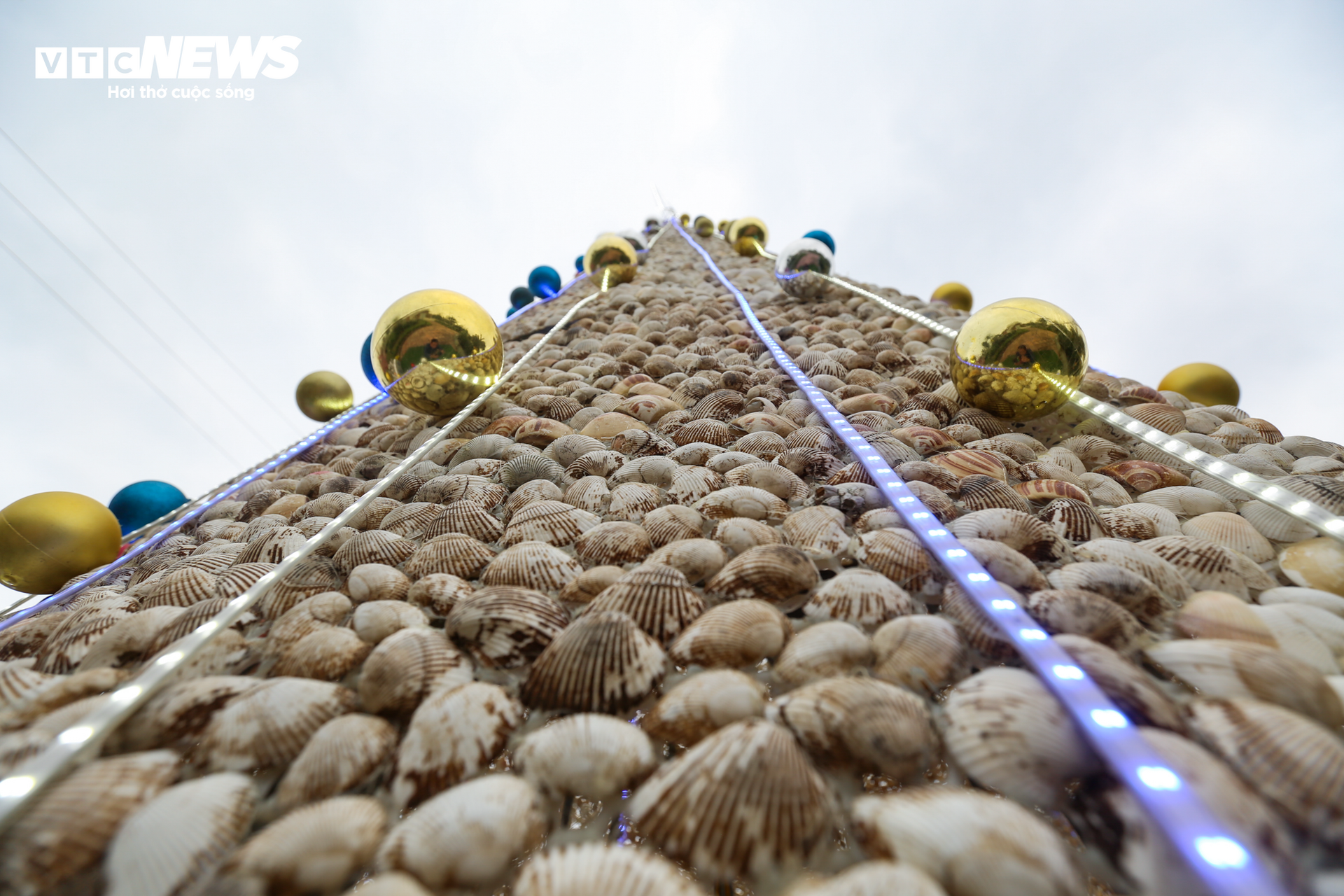 Chiêm ngưỡng cây thông Noel làm từ 100.000 vỏ sò ở Hà Tĩnh - 5