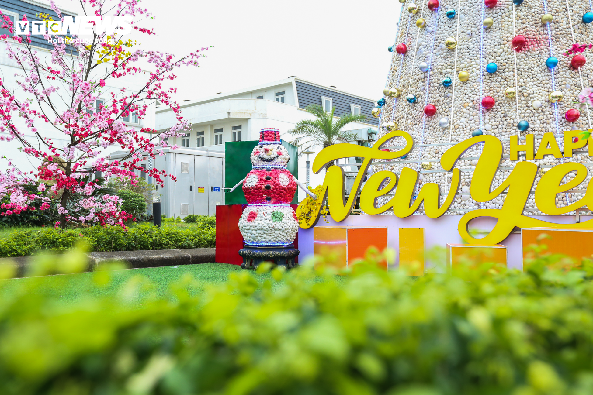 Chiêm ngưỡng cây thông Noel làm từ 100.000 vỏ sò ở Hà Tĩnh - 4