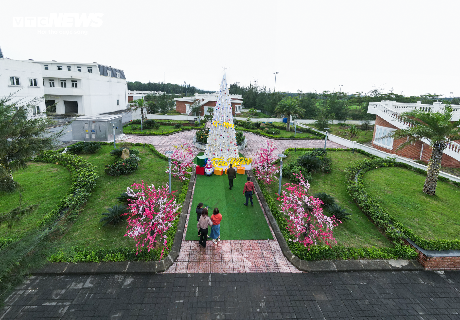 Chiêm ngưỡng cây thông Noel làm từ 100.000 vỏ sò ở Hà Tĩnh - 1