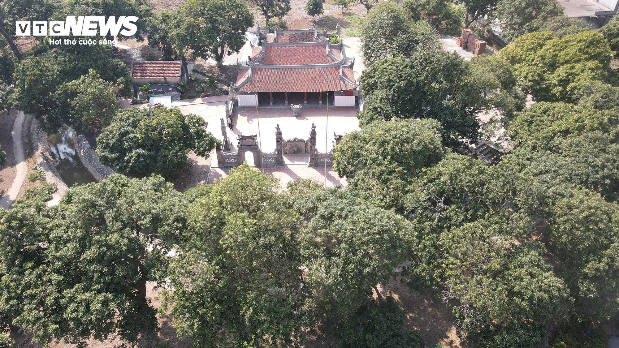 Ngôi miếu cổ hơn 300 năm tuổi ở Thái Bình 'lột xác' sau lần đại trùng tu - 1