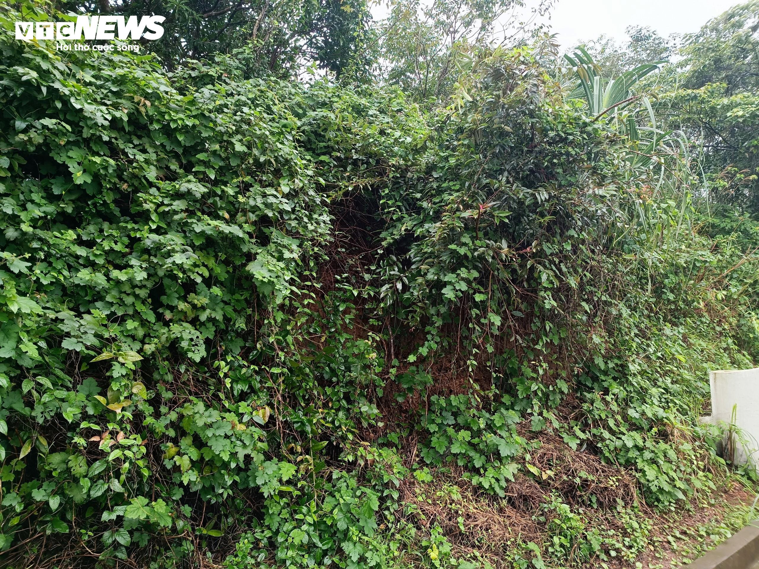 Hoang tàn những di tích Chăm Pa hiếm hoi còn sót lại trên đất cố đô Huế - 3