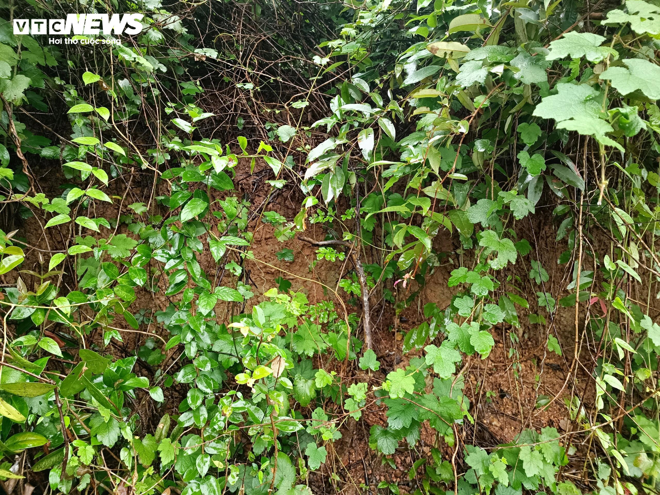 Hoang tàn những di tích Chăm Pa hiếm hoi còn sót lại trên đất cố đô Huế - 1